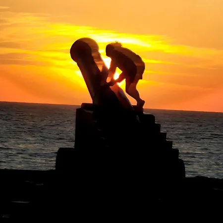 The Nest Strandhill * スライゴ